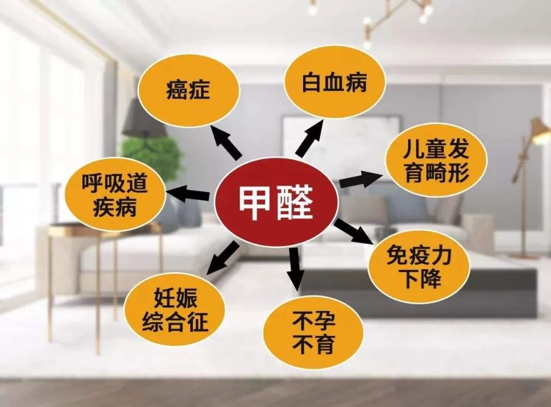 疫情當(dāng)下，更要把家打造成健康的堡壘(圖4)