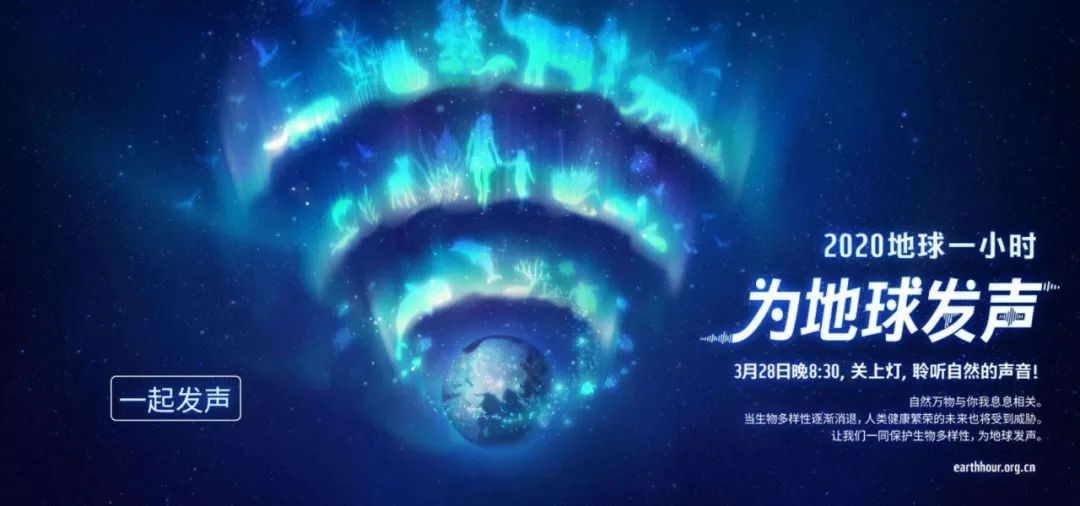 環(huán)保進(jìn)行時(shí) | 華洲木業(yè)，用行動(dòng)為地球發(fā)聲(圖1)